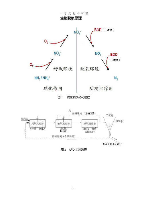 生物脱氮除磷原理.doc