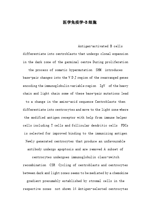 医学免疫学-B细胞