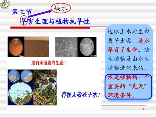 第10  植物逆境生理  (3-4节)