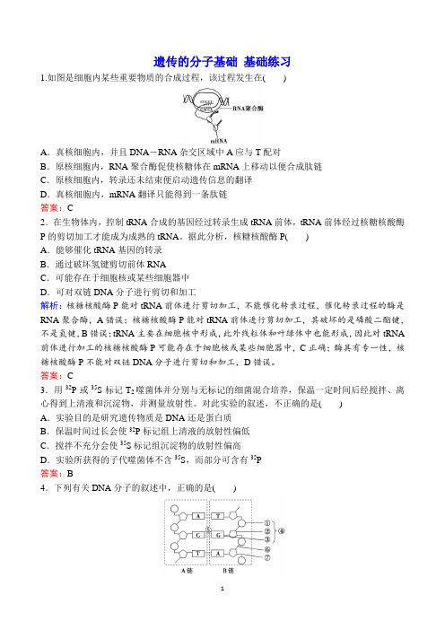 遗传的分子基础 基础练习(含解析)