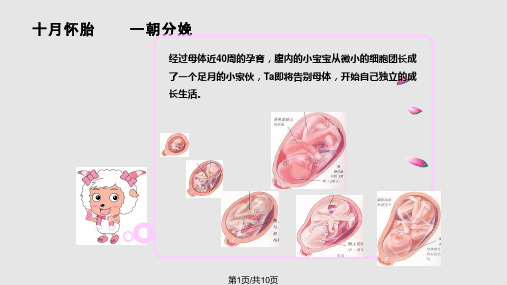 自然分娩好处多PPT课件