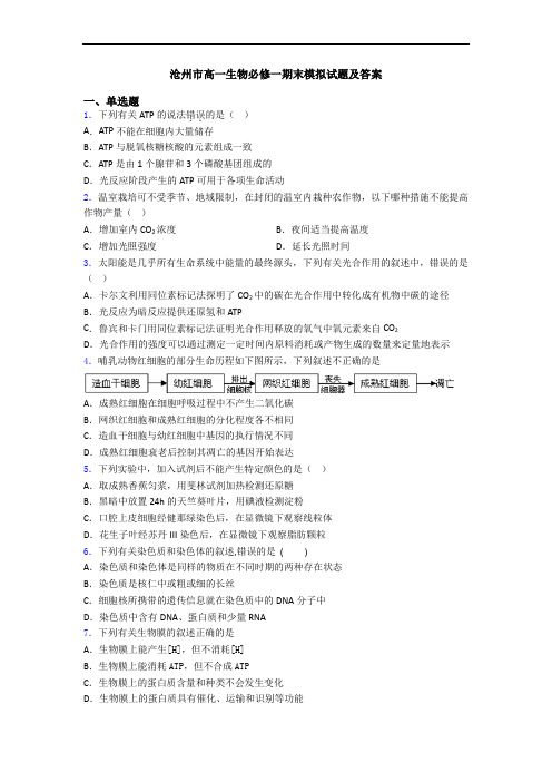 沧州市高一生物必修一期末模拟试题及答案