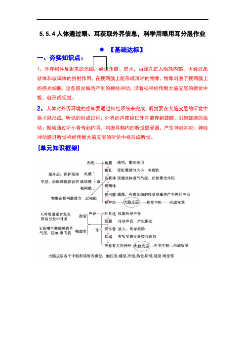 5.5.4 (分层作业)人体通过眼、耳等感觉器官获取外界信息,科学用眼和用耳能够保护眼耳健康(原卷版