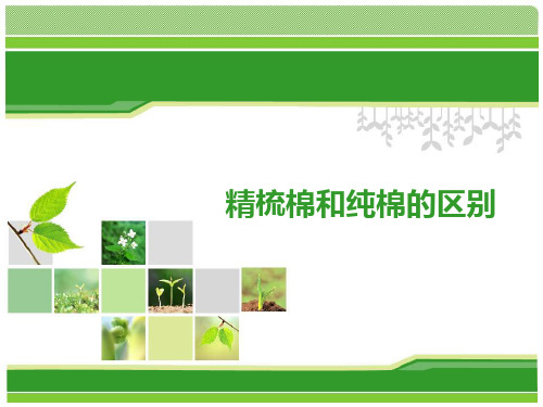 精梳棉和纯棉的区别