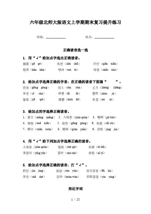 六年级北师大版语文上学期期末复习提升练习