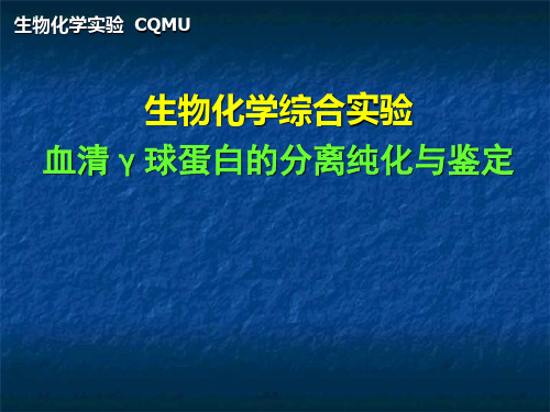 【生物化学实验】血清γ球蛋白分离纯化与鉴定