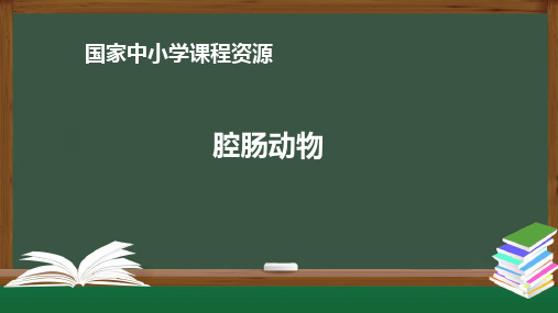 (人教版)八年级生物腔肠动物知识讲解PPT课件