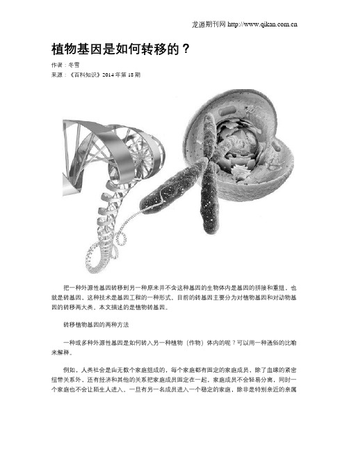 植物基因是如何转移的?