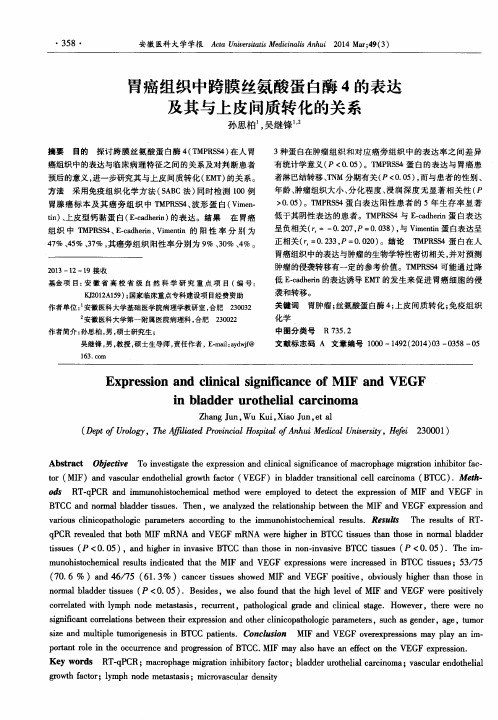 胃癌组织中跨膜丝氨酸蛋白酶4的表达及其与上皮间质转化的关系