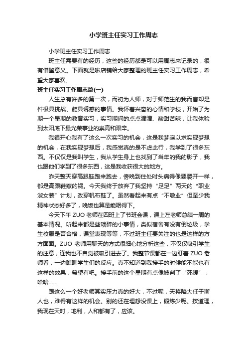 小学班主任实习工作周志