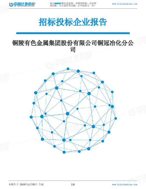 铜陵有色金属集团股份有限公司铜冠冶化分公司-招投标数据分析报告