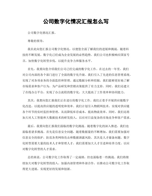 公司数字化情况汇报怎么写