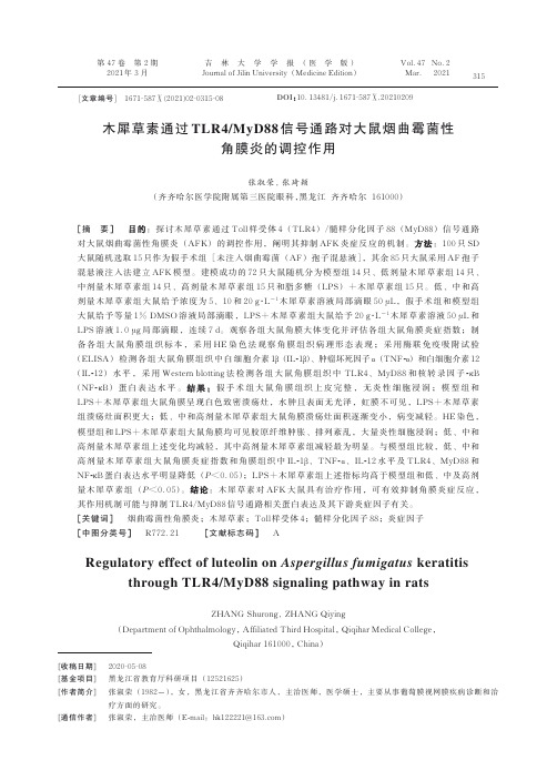 木犀草素通过TLR4MyD88信号通路对大鼠烟曲霉菌性角膜炎的调控作用