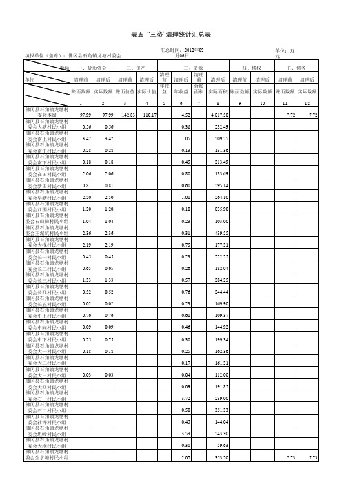 龙塘村三资清理情况汇总表