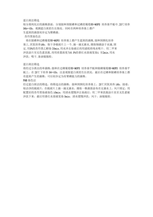 蓝白斑法筛选 海南师范大学