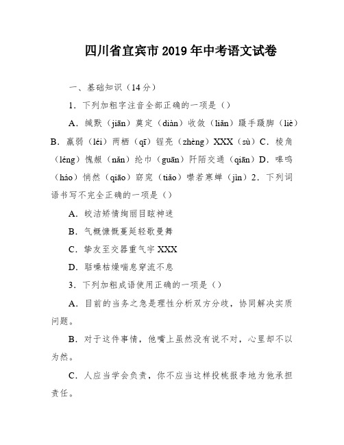 四川省宜宾市2019年中考语文试卷