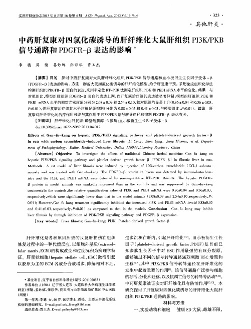 中药肝复康对四氯化碳诱导的肝纤维化大鼠肝组织P13K／PKB信号通路和PDGFR—β表达的影响