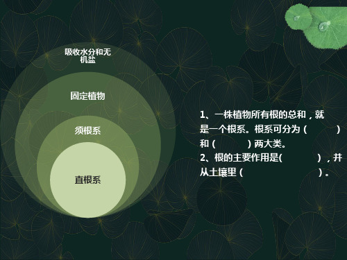 五年级上册科学PPT课件