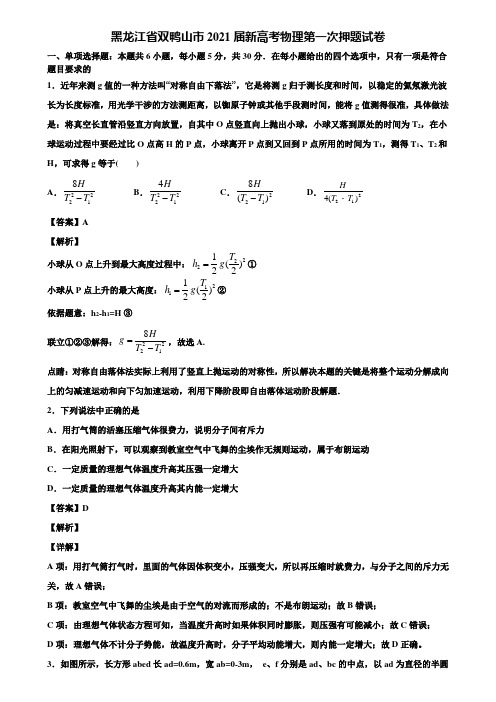 黑龙江省双鸭山市2021届新高考物理第一次押题试卷含解析