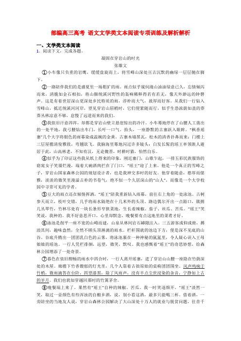 部编高三高考 语文文学类文本阅读专项训练及解析解析