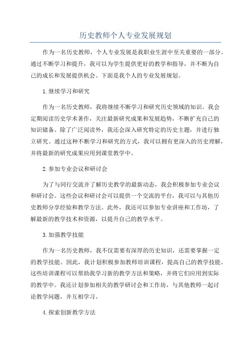 历史教师个人专业发展规划