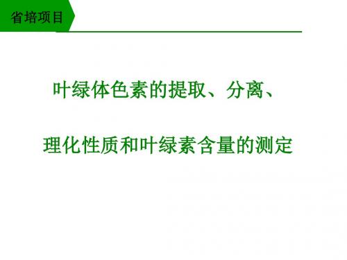 叶绿体色素的提取、分离、理化性质和叶绿素含量的测定