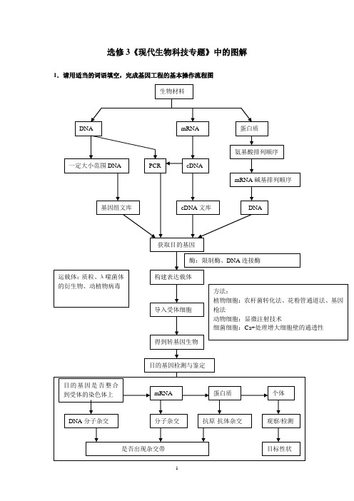 高中生物选修3图解