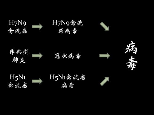 人教版初中生物七年级上册第二单元第四章病毒