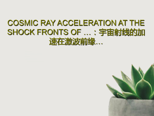 COSMIC RAY ACCELERATION AT THE SHOCK FRONTS OF …：宇