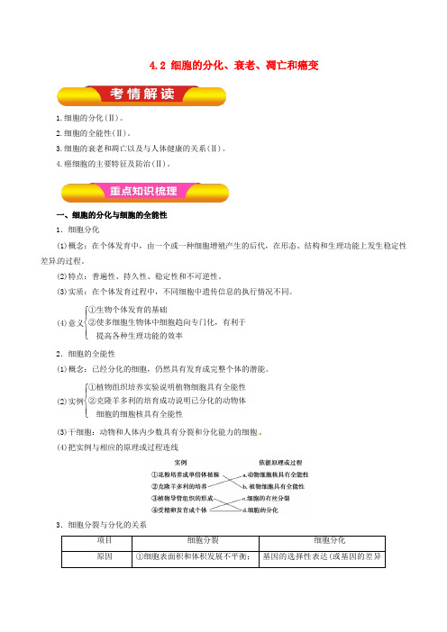 高考生物一轮复习 专题4.2 细胞的分化、衰老、凋亡和癌变教学案(含解析)