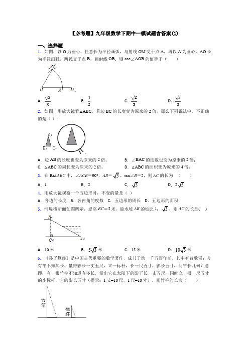 【必考题】九年级数学下期中一模试题含答案(1)