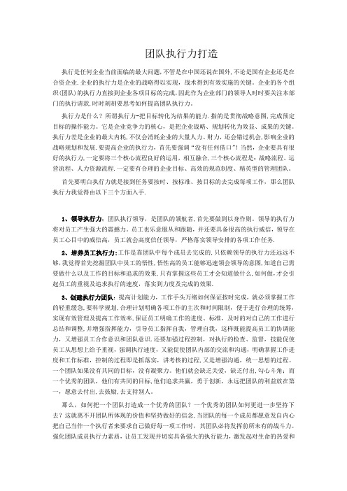 团队执行力打造