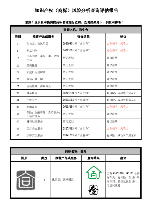 知识产权风险分析评估报告(商标注册申请)