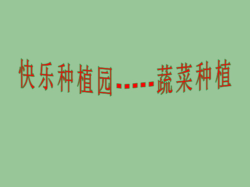 四年级综合实践活动课件-蔬菜种植 全国通用(共14张PPT)劳动技术课件