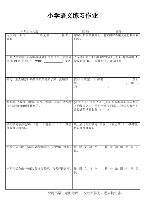 小学六年级语文拓展训练 (90)