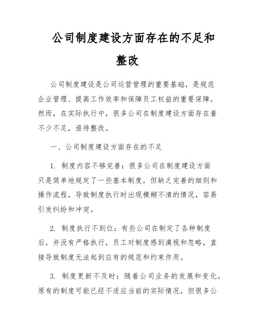 公司制度建设方面存在的不足和整改