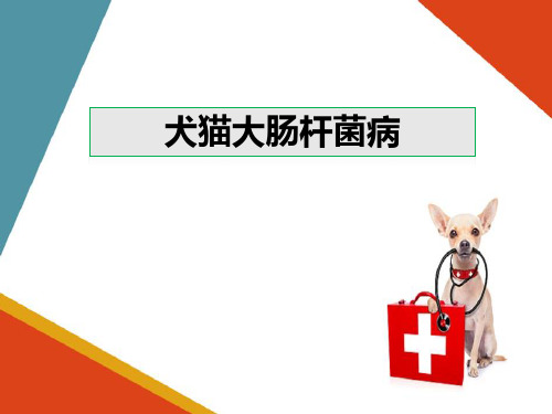 宠物传染病防治—犬猫细菌病的诊断与防治