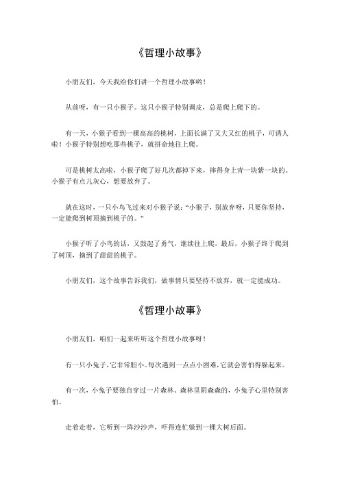 哲理小故事300字左右