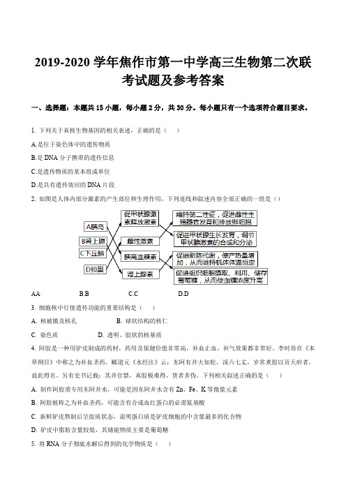 2019-2020学年焦作市第一中学高三生物第二次联考试题及参考答案