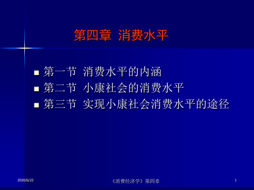 消费经济学消费水平