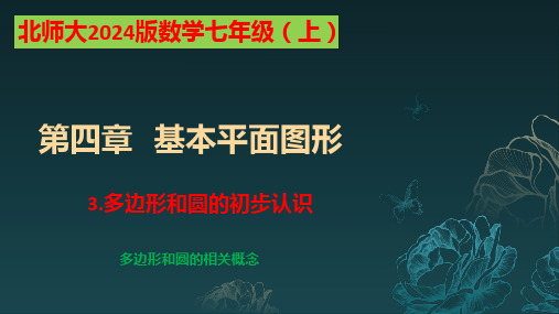 4.3多边形和圆的初步认识课件2024—2025学年北师大版数学七年级上册