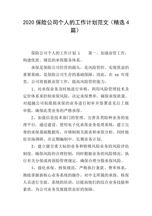 2020保险公司个人的工作计划范文(精选4篇)