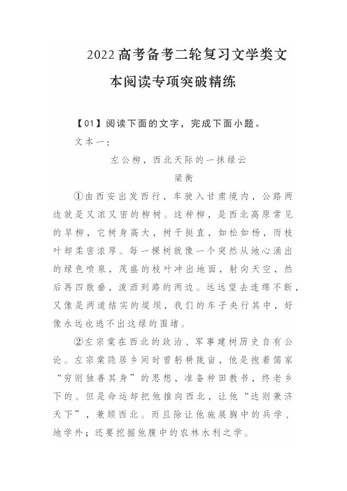 2022高考备考二轮复习文学类文本阅读专项突破精练