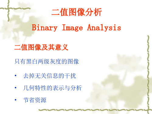 二值图像分析BinaryImageAnalysis