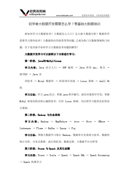 初学者大数据开发需要怎么学?零基础大数据培训