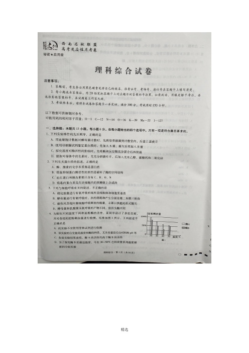 (西南名校联盟)2019届高三上学期第二次高考适应性月考理科综合试卷图片版(有答案)