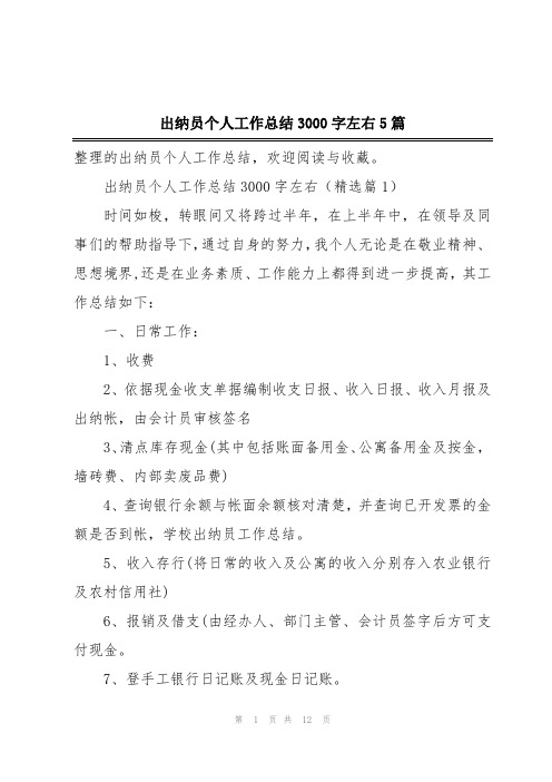 出纳员个人工作总结3000字左右5篇