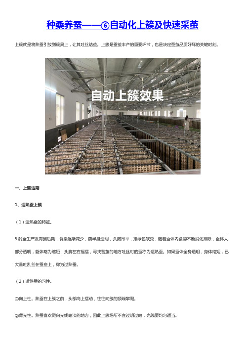 种桑养蚕——⑥自动化上簇及快速采茧