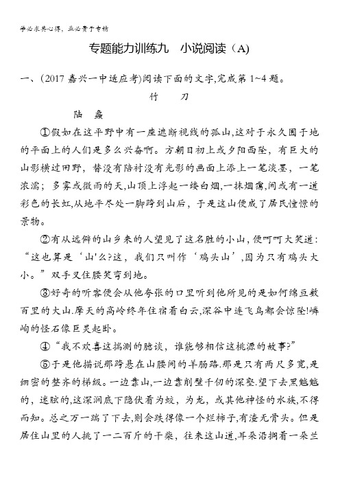 浙江省2018年高考语文(新课标)二轮专题复习专题能力训练九含答案