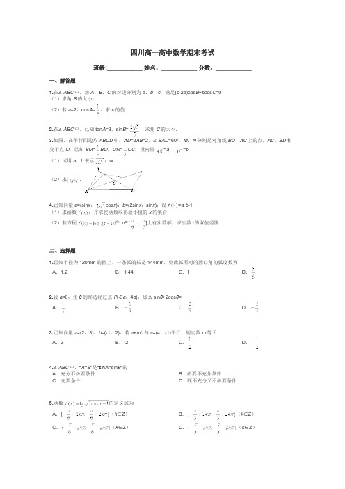 四川高一高中数学期末考试带答案解析
